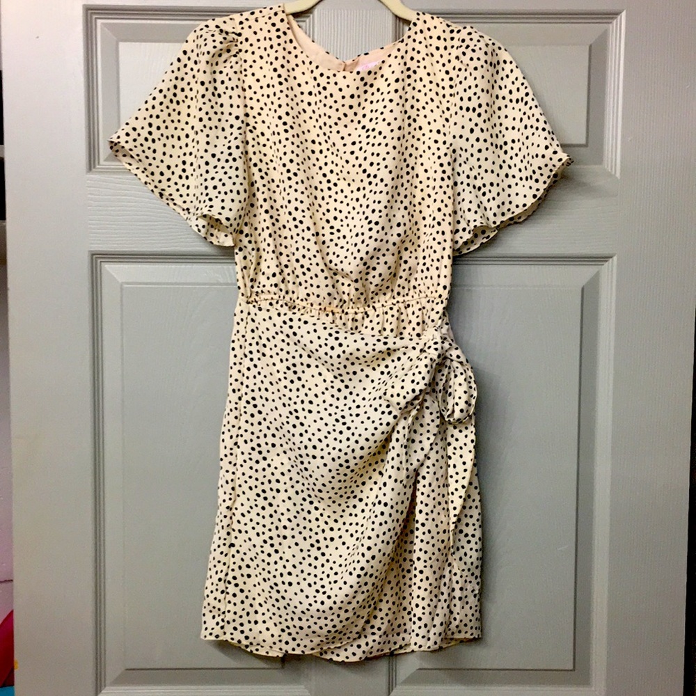Pink Lily size small spotted dress.